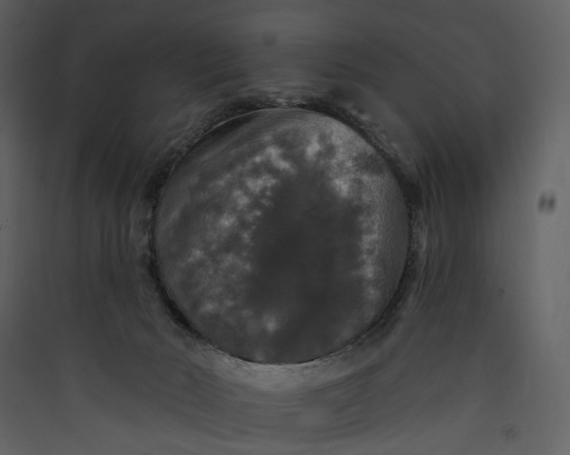 X0000089960030200707131547