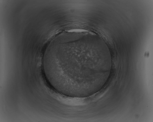 X0000089960032200707131547