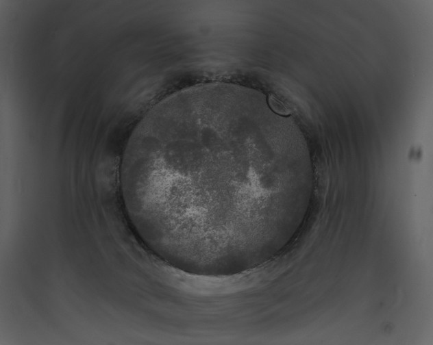 X0000089960034200707131547