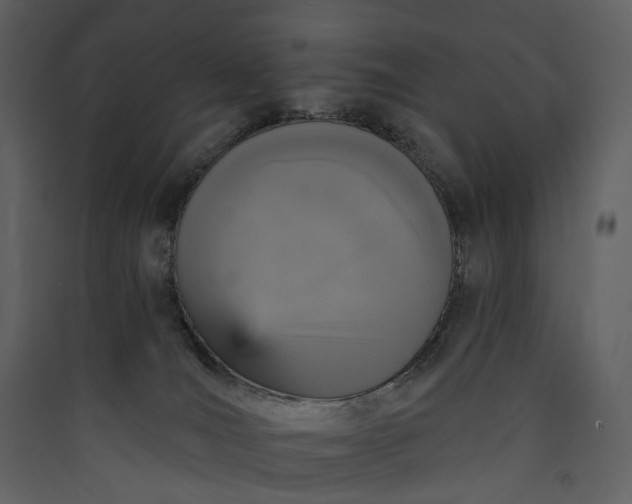 X0000089960036200707131547