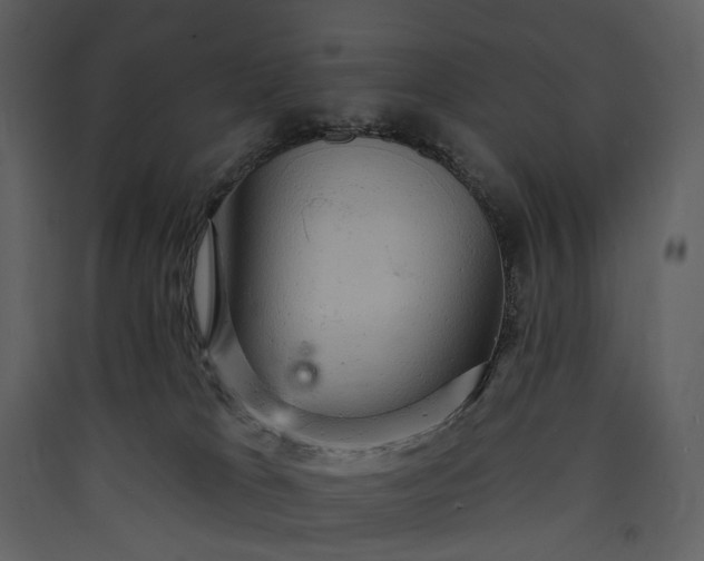 X0000089960037200707131547