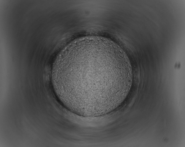 X0000089960038200707131547