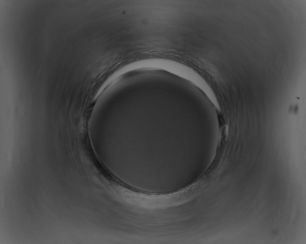 X0000089960039200707131547