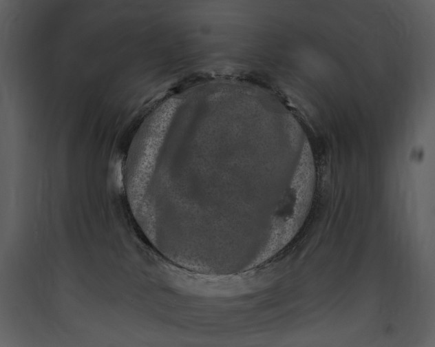 X0000089960042200707131547