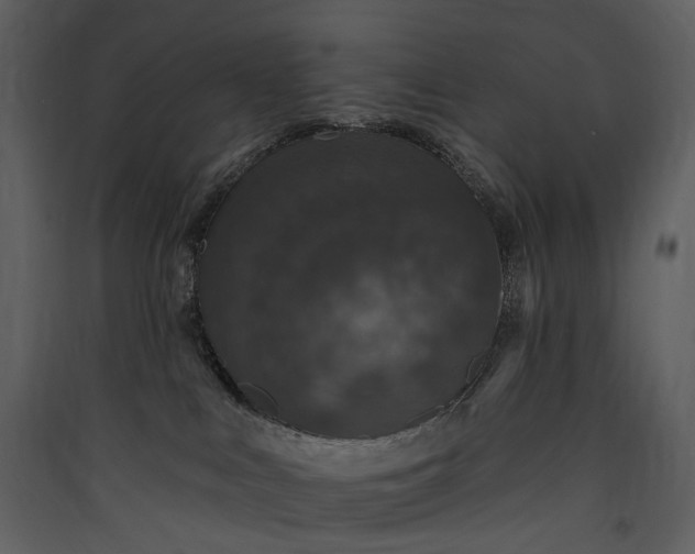 X0000089960043200707131547