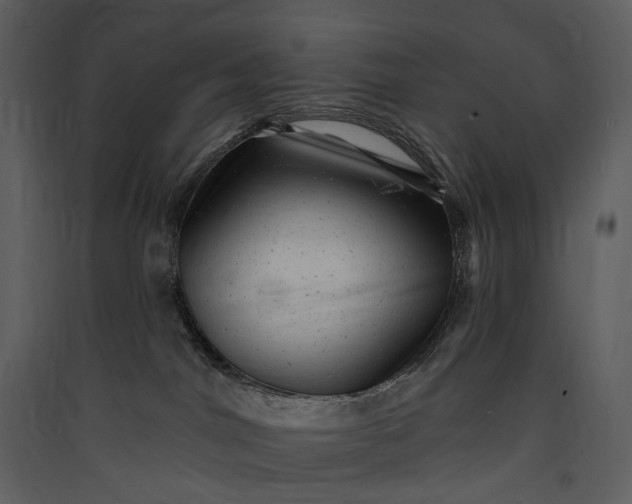 X0000089960044200707131547