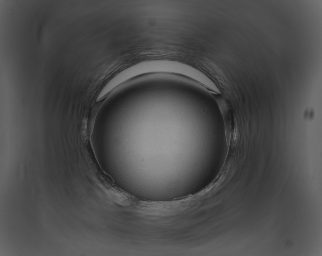 X0000089960045200707131547