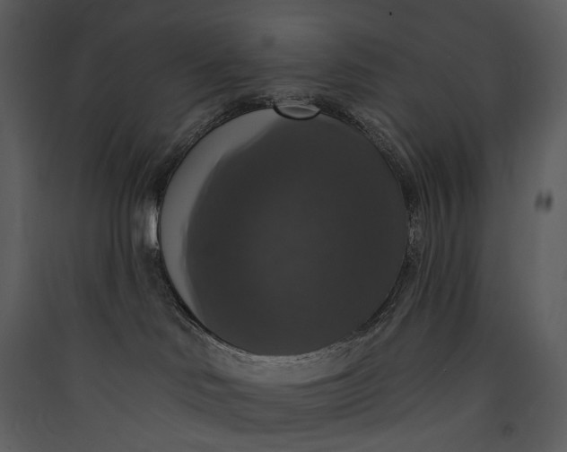 X0000089960046200707131547