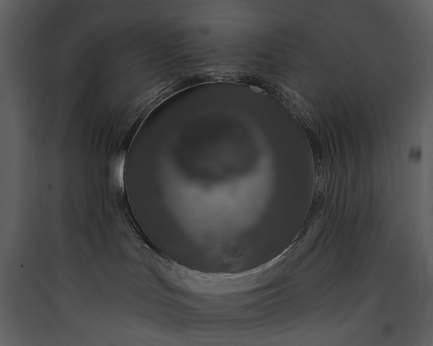 X0000089960047200707131547