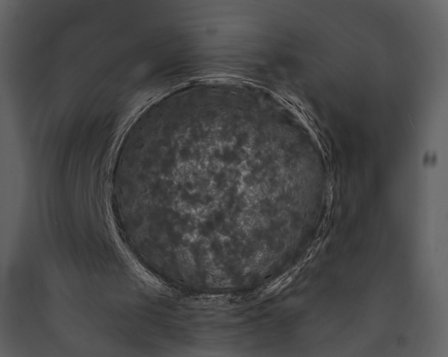 X0000089960049200707131546