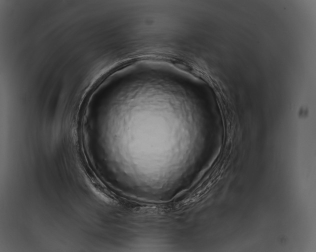 X0000089960050200707131546