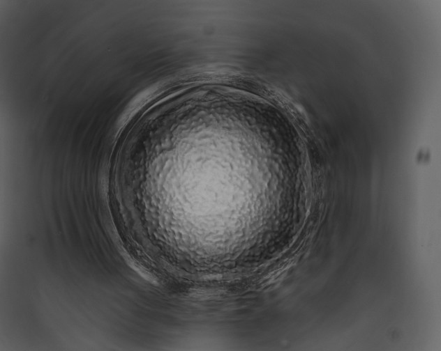 X0000089960051200707131546