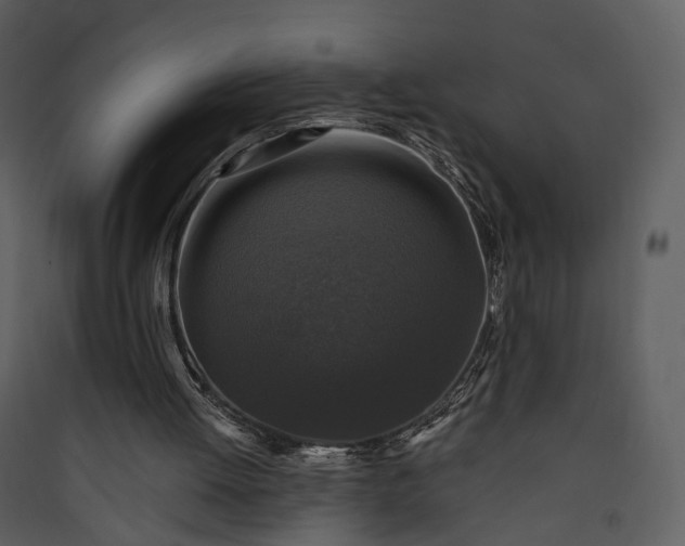 X0000089960052200707131546