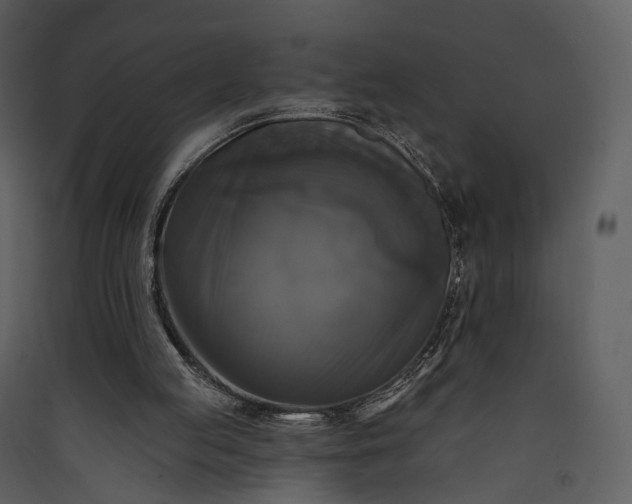 X0000089960053200707131546