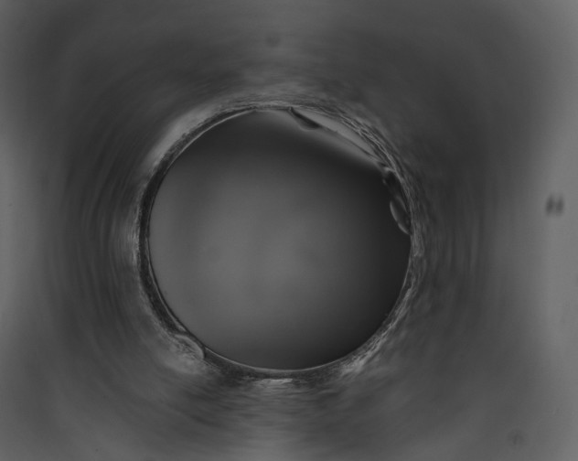 X0000089960054200707131546