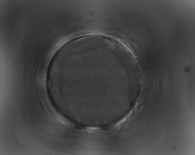 X0000089960055200707131546