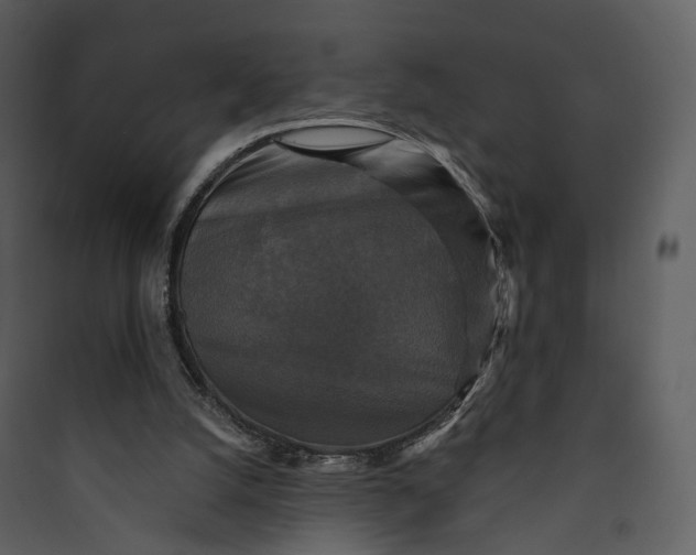 X0000089960056200707131546