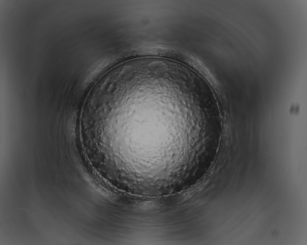 X0000089960058200707131546