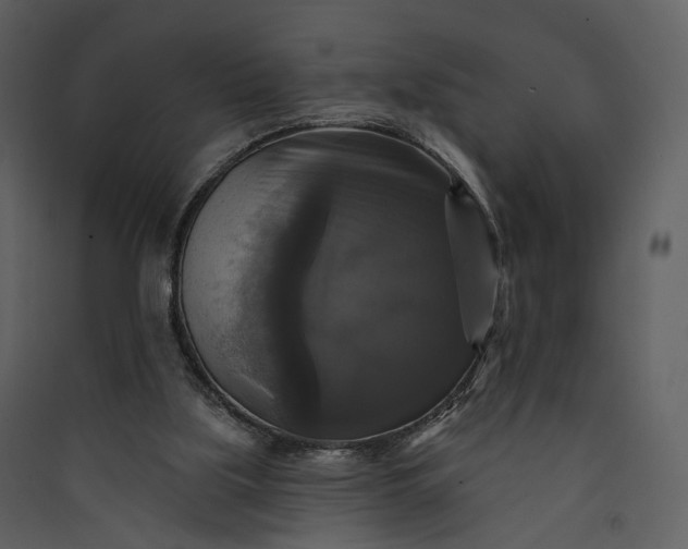 X0000089960059200707131546