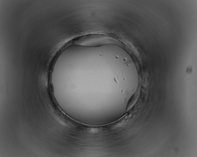 X0000089960060200707131546