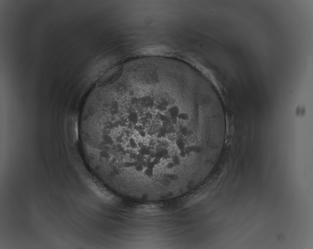 X0000089960061200707131546