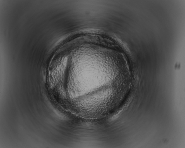 X0000089960062200707131546