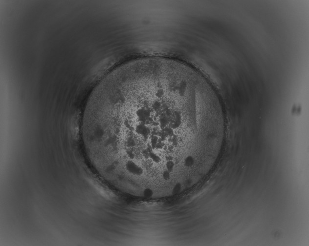 X0000089960065200707131546