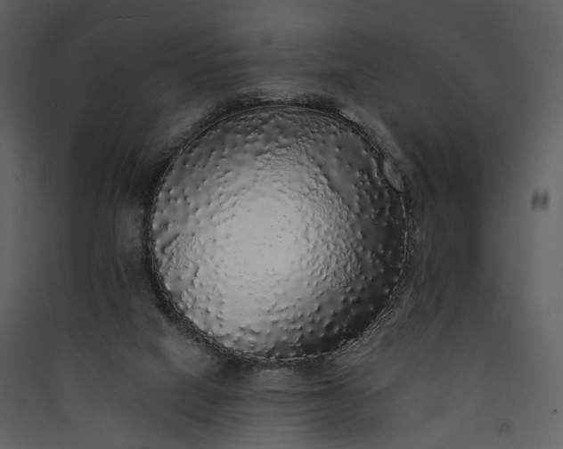 X0000089960066200707131546