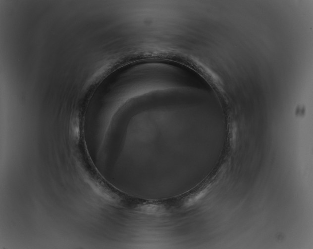 X0000089960067200707131546