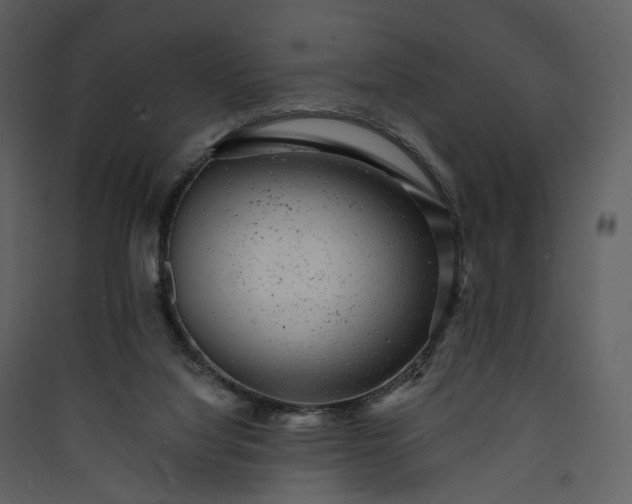 X0000089960068200707131546