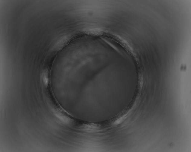 X0000089960069200707131546