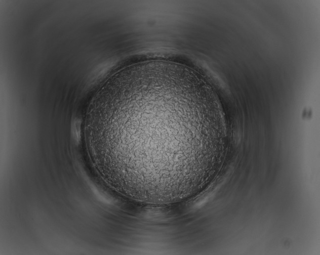 X0000089960070200707131546