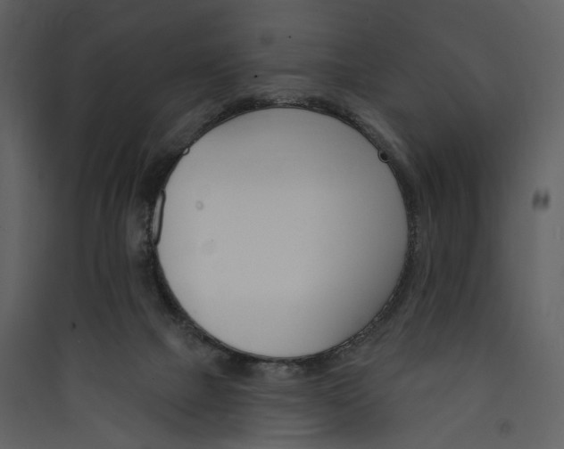 X0000089960073200707131546