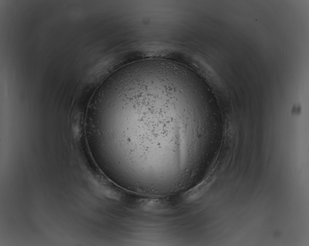 X0000089960074200707131546