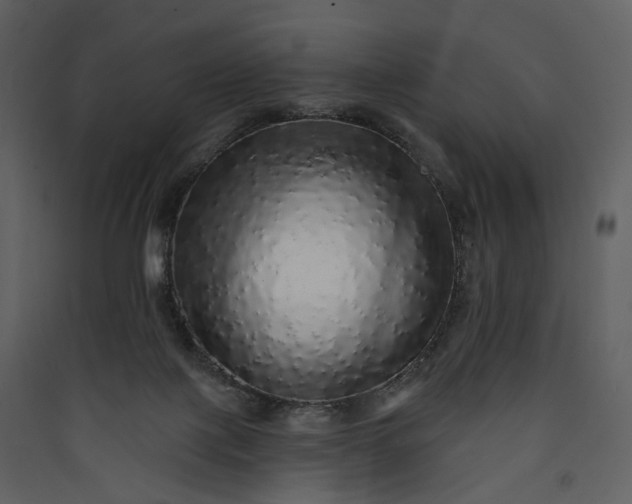 X0000089960075200707131546