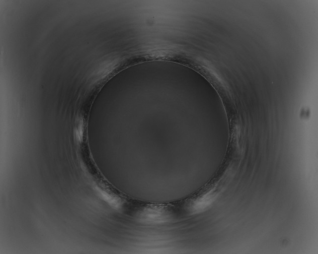 X0000089960076200707131546