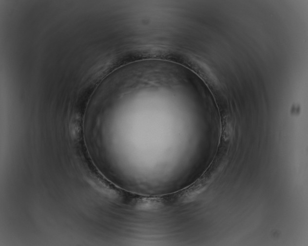 X0000089960077200707131546