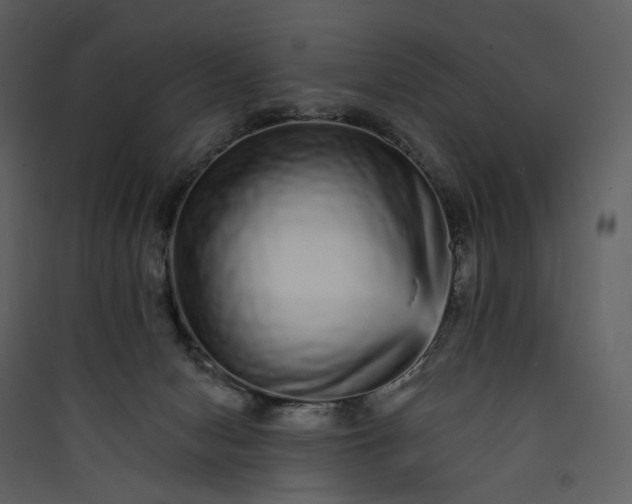 X0000089960078200707131546