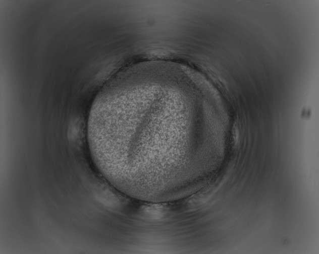 X0000089960079200707131546