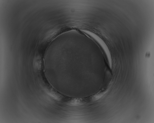 X0000089960080200707131547