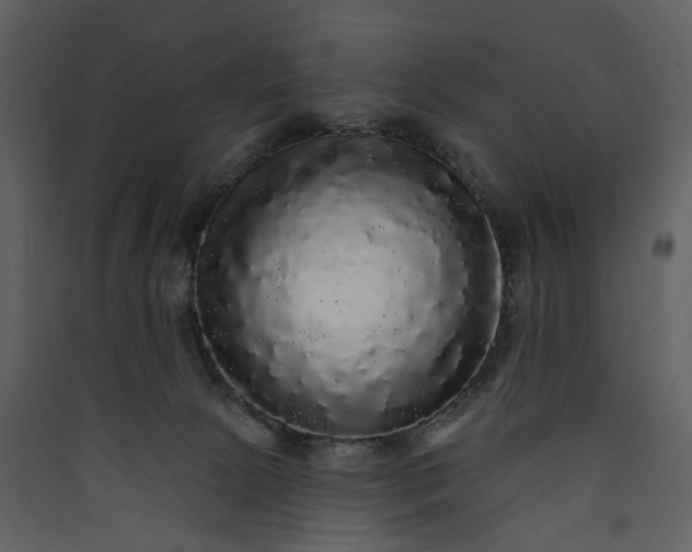 X0000089960081200707131547