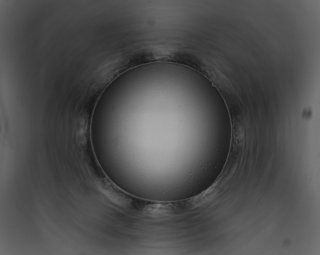 X0000089960082200707131547