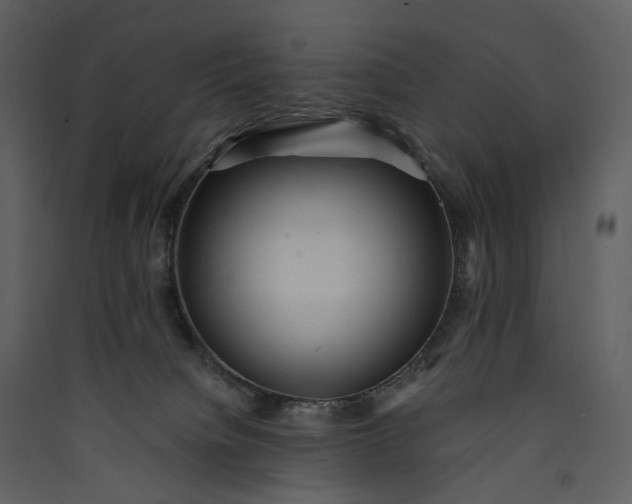 X0000089960084200707131547