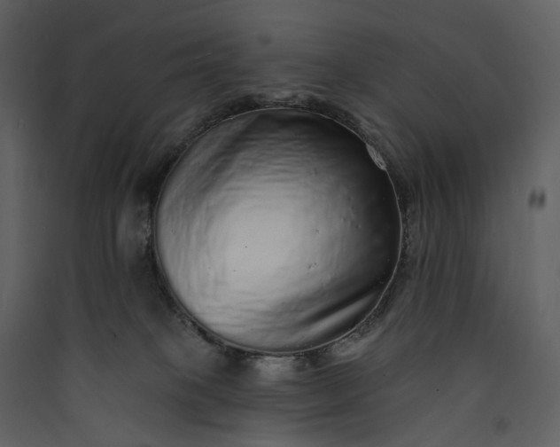 X0000089960085200707131547