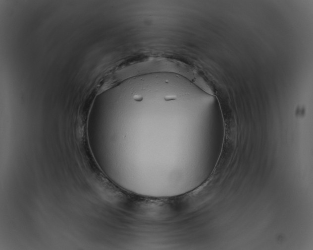 X0000089960086200707131547