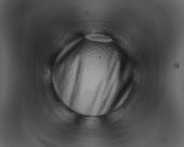 X0000089960087200707131547