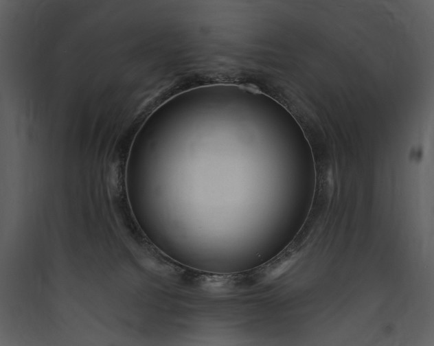 X0000089960088200707131547