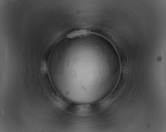 X0000089960089200707131547