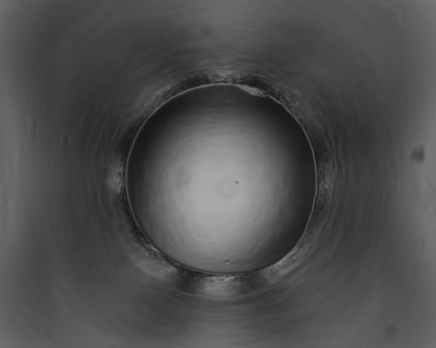 X0000089960090200707131547