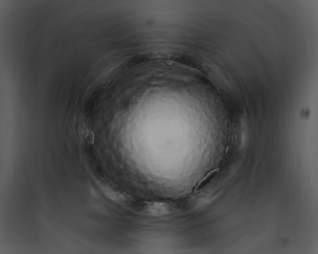 X0000089960091200707131547